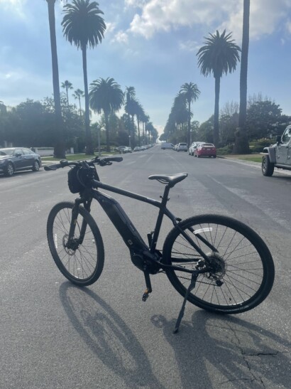A bike parked among the palm trees in Los Angeles, California