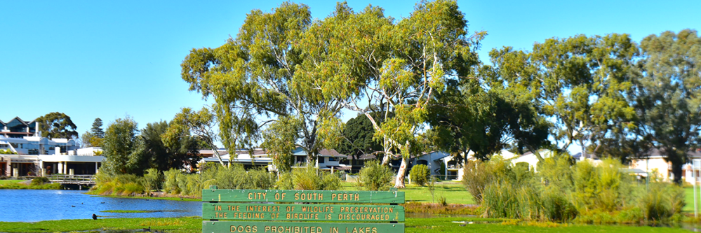 The wetlands in Perth, Australia