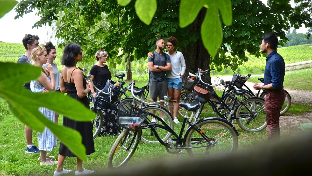 Cyclists standing among the vineyards in Bordeaux, France