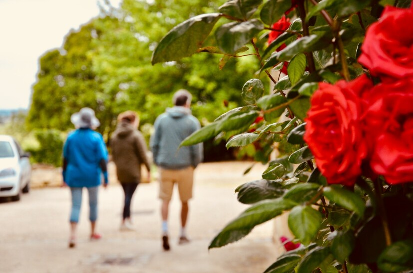 A group walks through the vineyards in Bordeaux, France