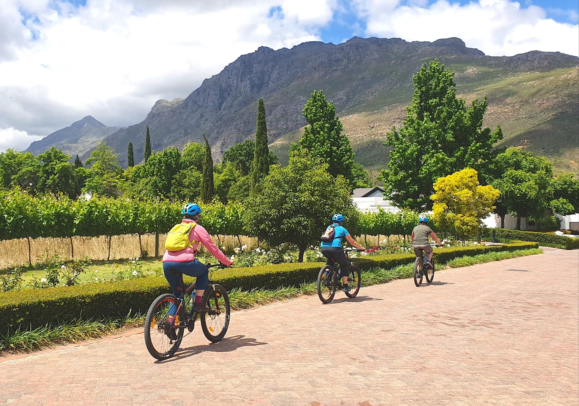stellenbosch mountains