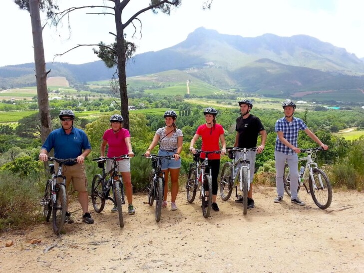 Stellenbosch vineyards