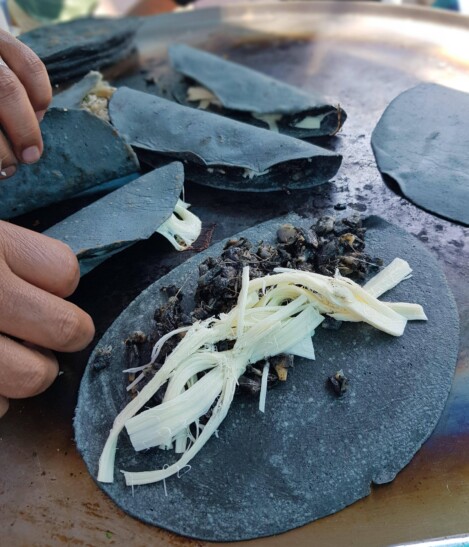 Blue corn tortillas in Mexico City
