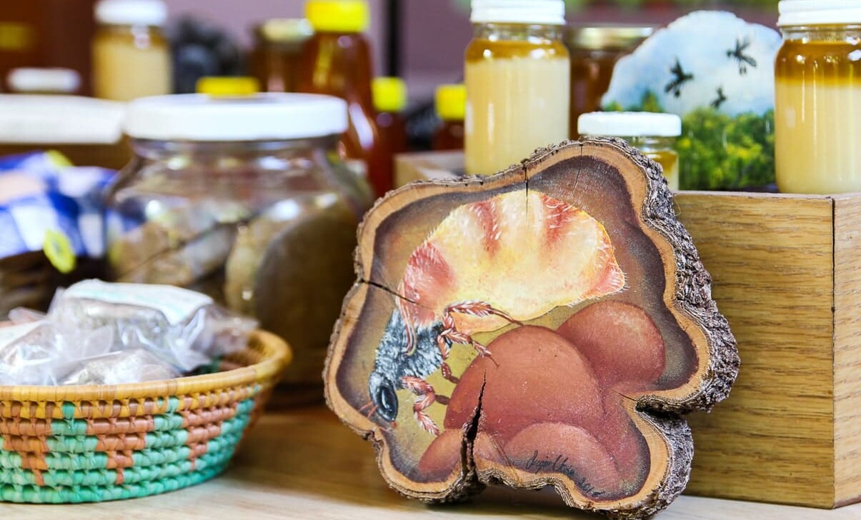 Tulum bee foundation