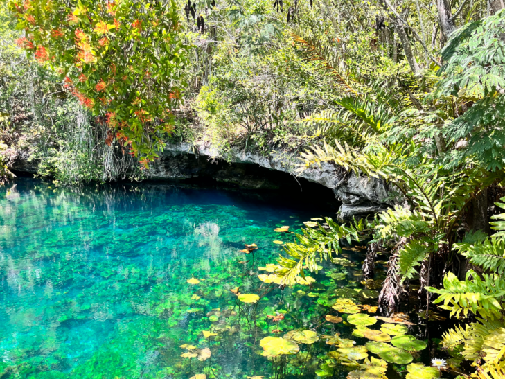 A vibrant blue/green cenote in Tulum, Mexico