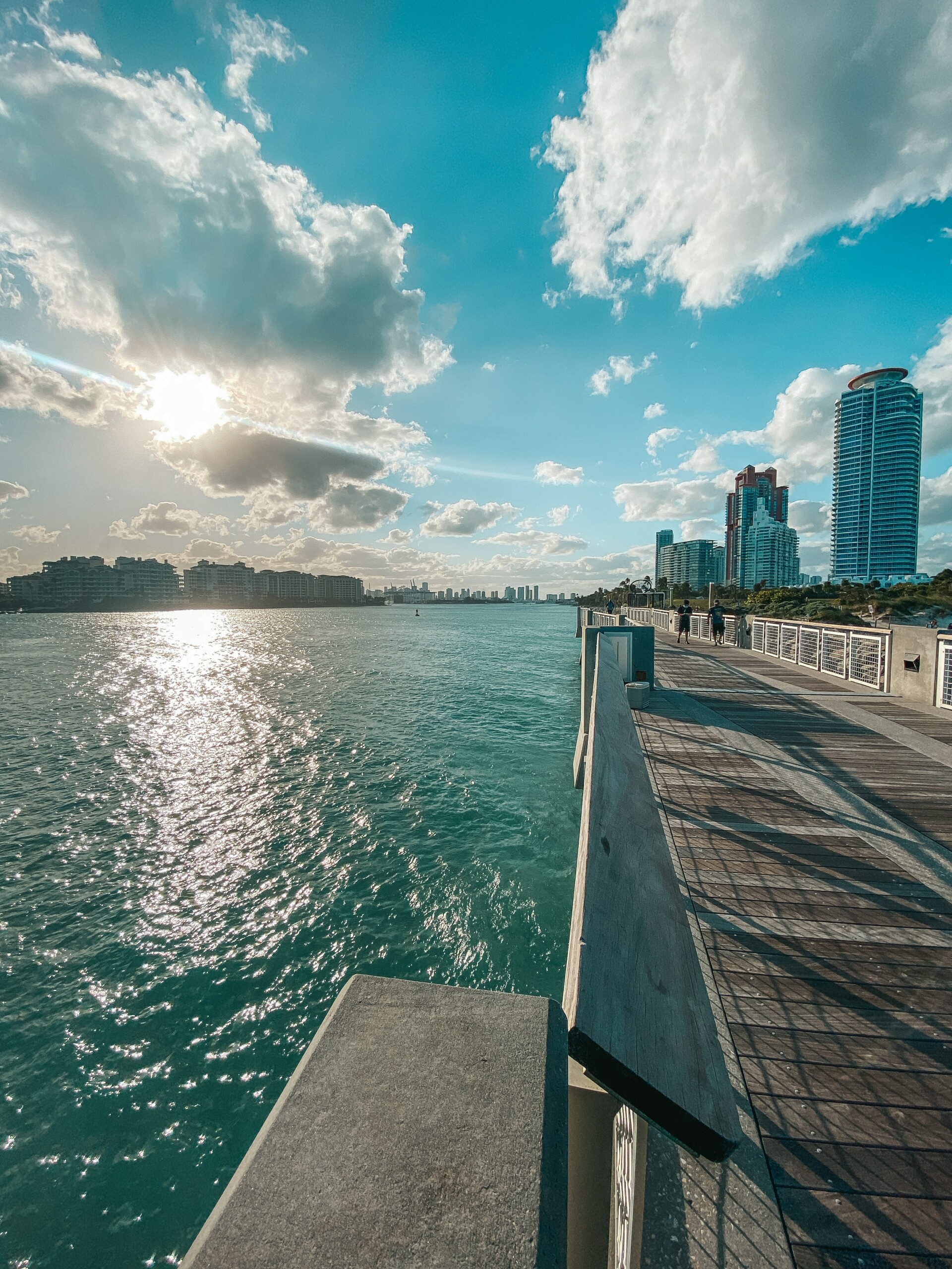 A view of Miami from the water