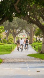 A group of cyclists ride under trees along a bike path in Agadir