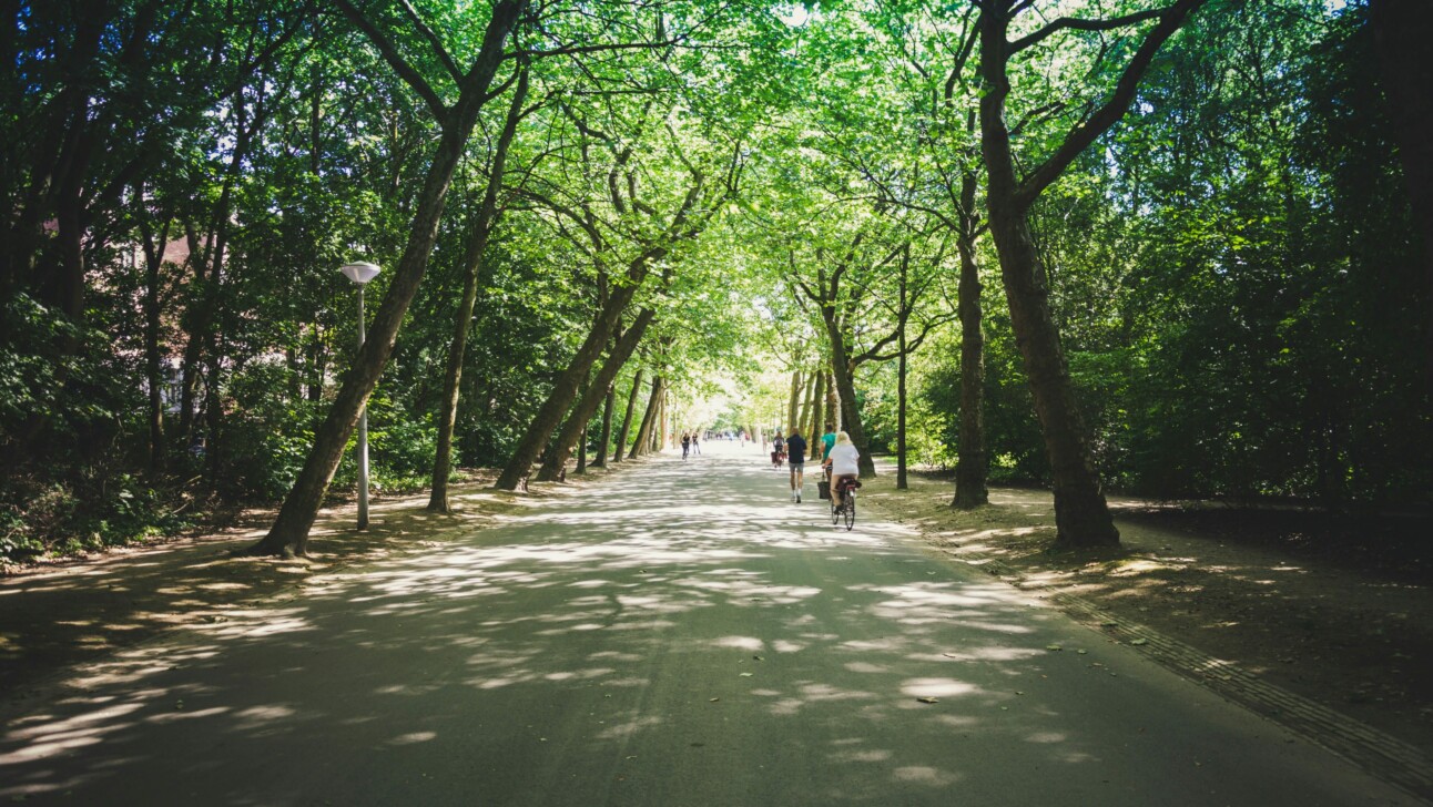 Cyclists and runners in Vondelpark in Amsterdam